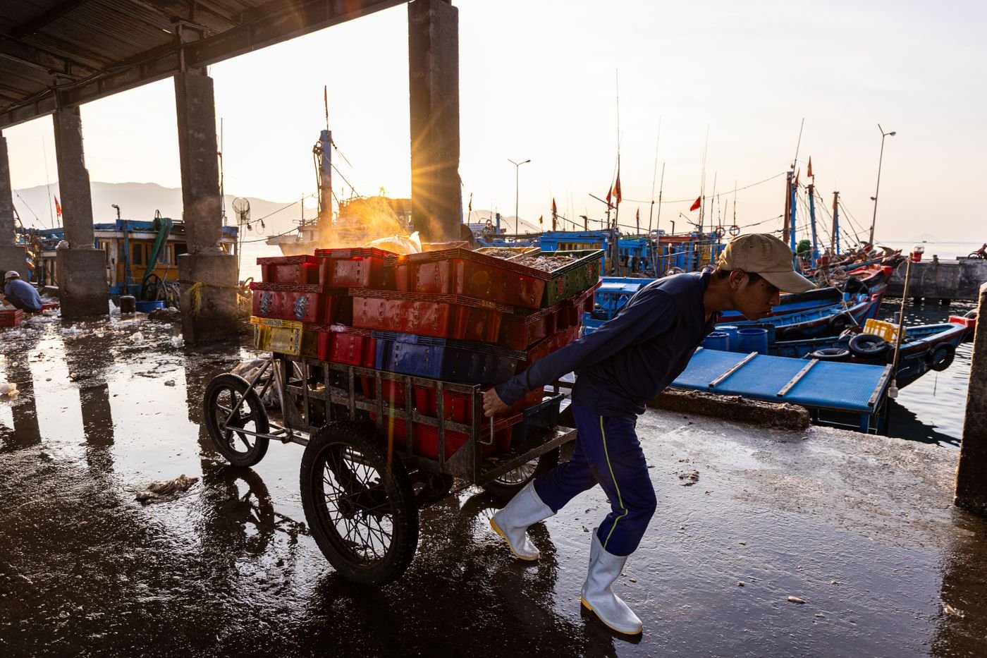 Fresh catch in crates on a dock