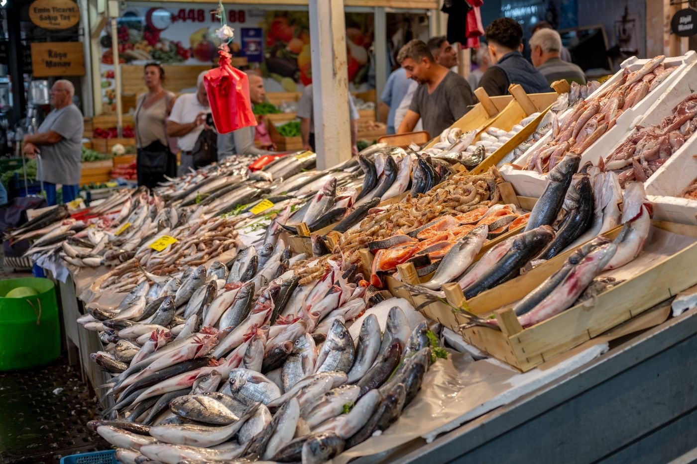 Fresh fish on display at a market