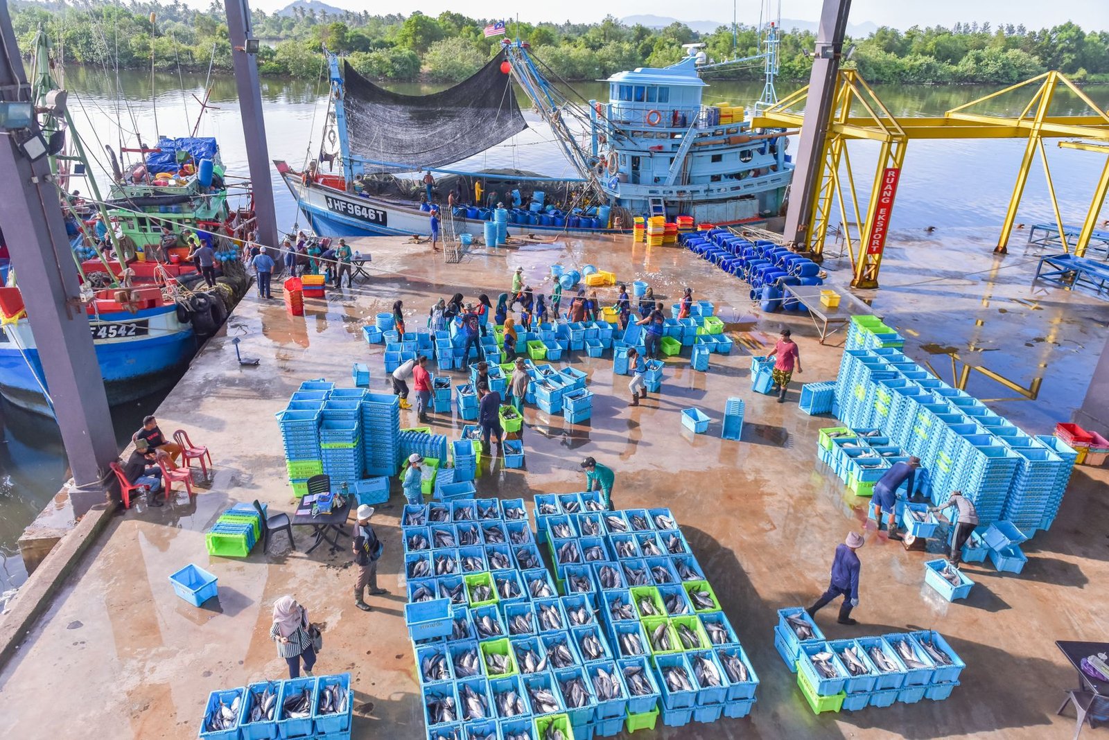 Fish market at a working harbour